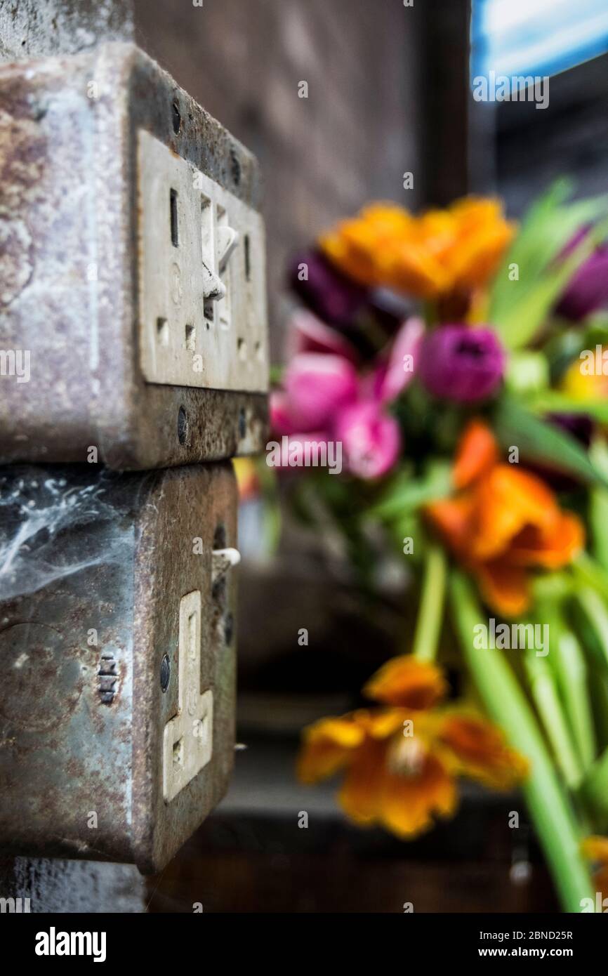 Vintage electrical plug sockets Stock Photo - Alamy