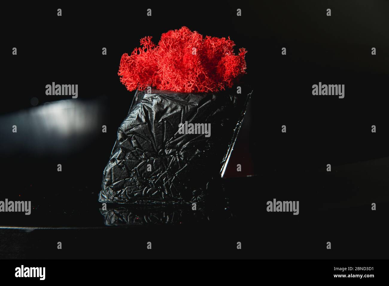 claret moss in a black concrete pot Stock Photo