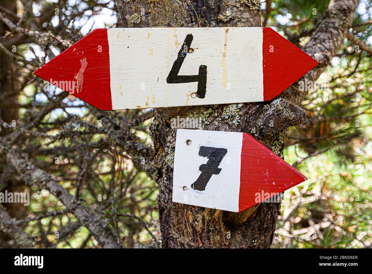 Hiking Trail Marks with number 4 and 7 in Alto Adige, Italy Stock Photo