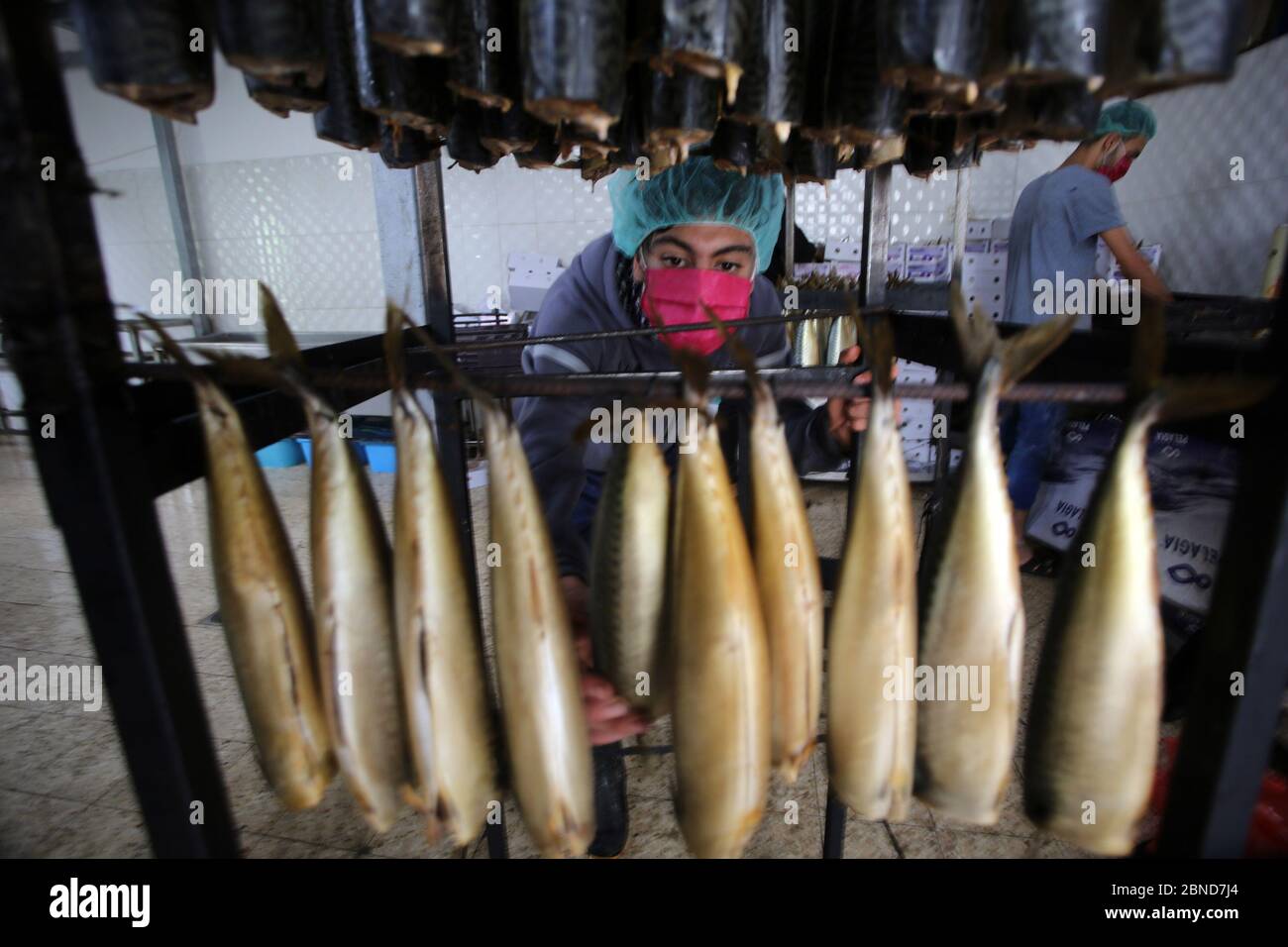 Rafah, Gaza. 14th May, 2020. A Palestinian man prepare smoked mackerels before selling them during the Muslim fasting month of Ramadan in Rafah, in the southern Gaza Strip, on Wednesday, May 13, 2020. Photo by Ismael Mohamad/UPI Credit: UPI/Alamy Live News Stock Photo