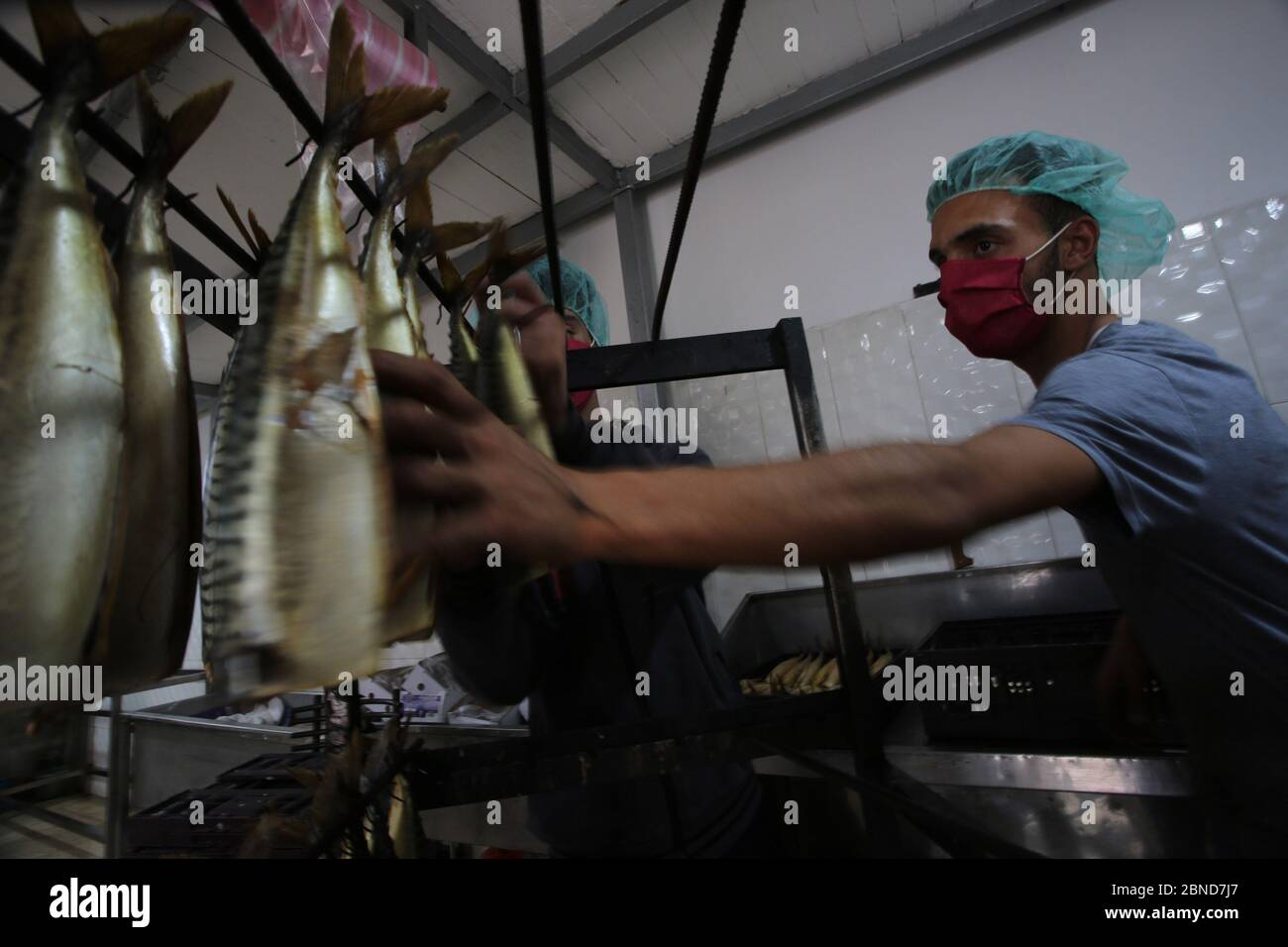Rafah, Gaza. 14th May, 2020. A Palestinian man prepare smoked mackerels before selling them during the Muslim fasting month of Ramadan in Rafah, in the southern Gaza Strip, on Wednesday, May 13, 2020. Photo by Ismael Mohamad/UPI Credit: UPI/Alamy Live News Stock Photo