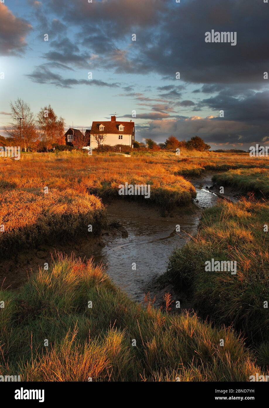 Alresford essex hires stock photography and images Alamy