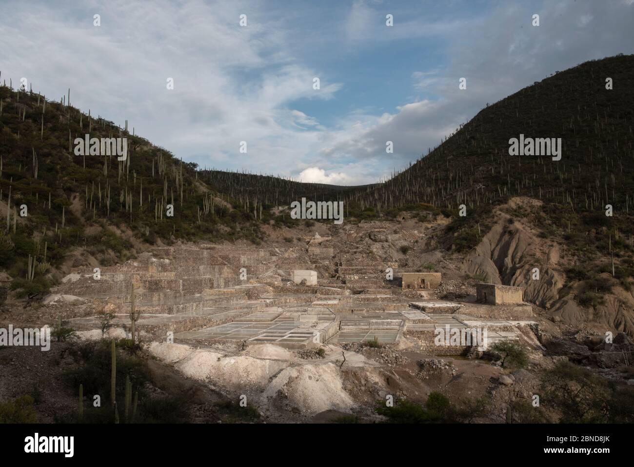 Salt mines in the desert of Techuacan Stock Photo
