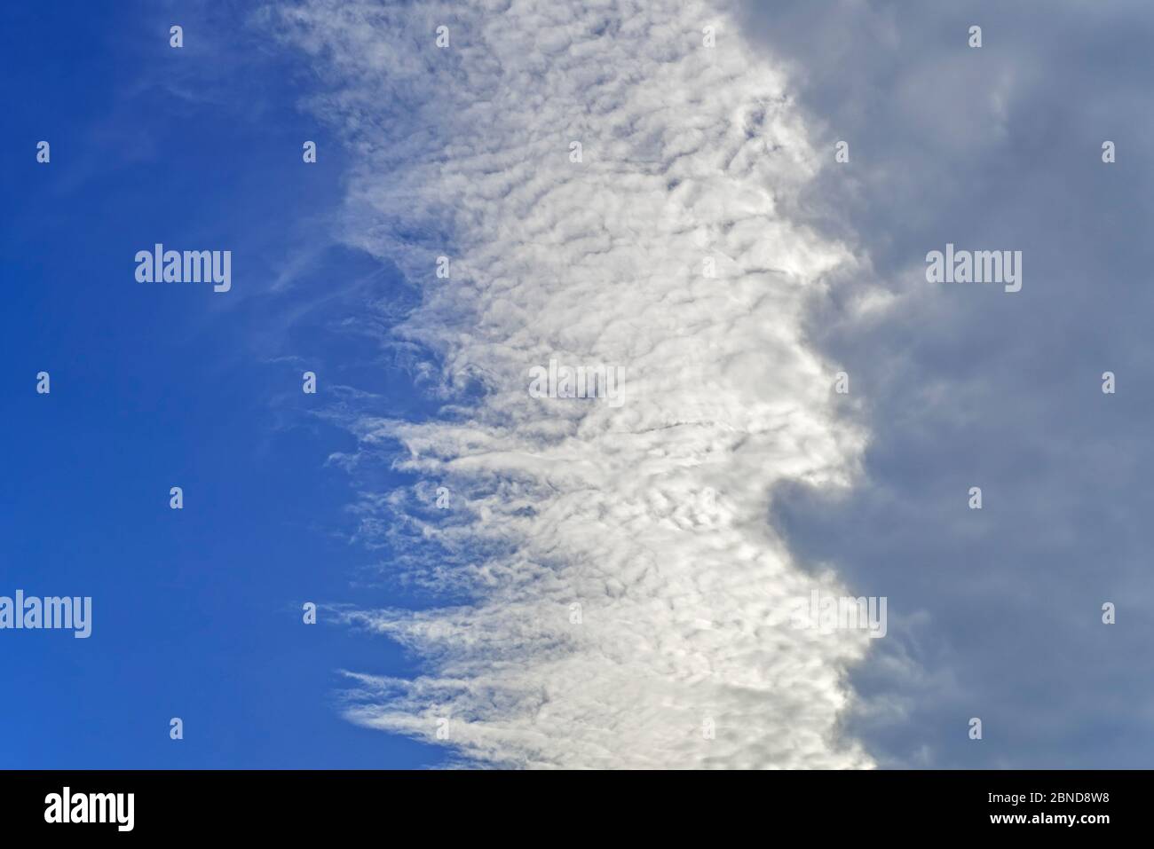 Nimbostratus cloud covering cirrocumulus / altocumulus and blue sky Stock Photo
