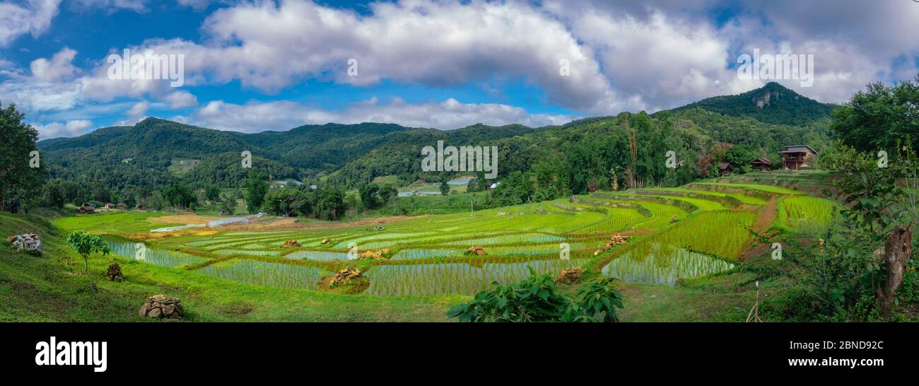 Panorama view of rice terraces, small village, and mountains Stock ...
