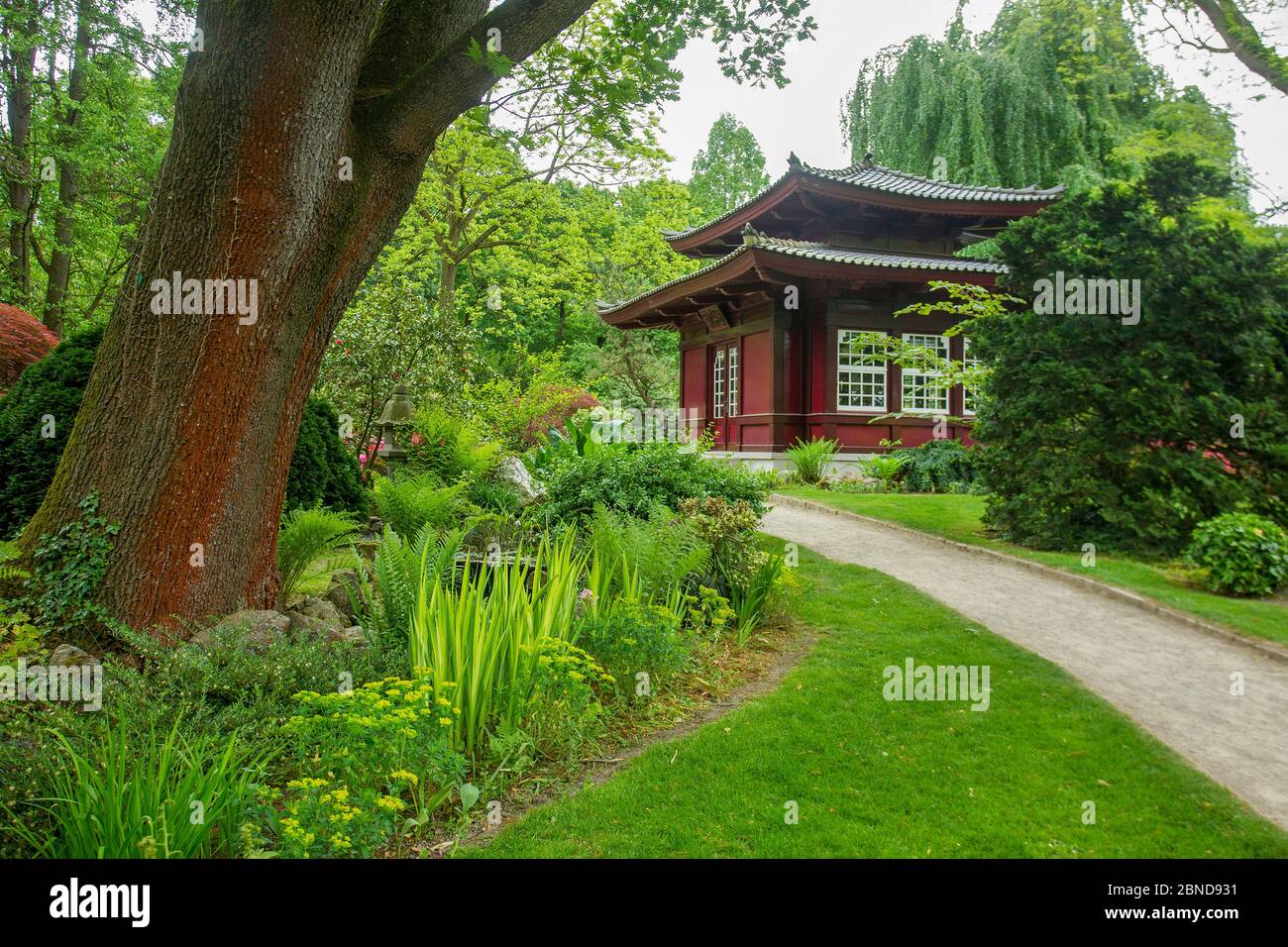 Amazing Japanese garden in Leverkusen in May. Beautiful nature landscape in a public park with a