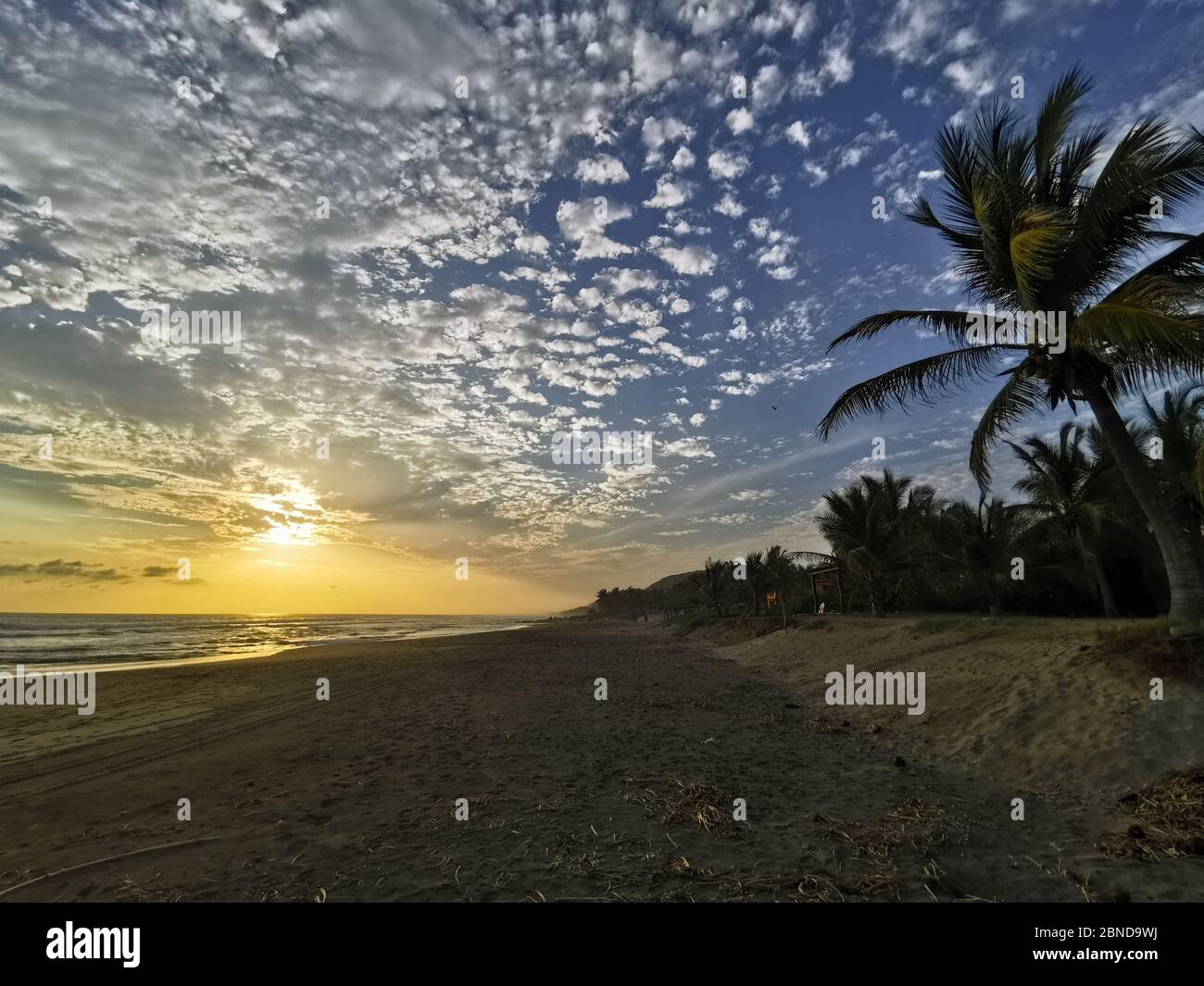 Clouds, beach, palms and sand. Stock Photo