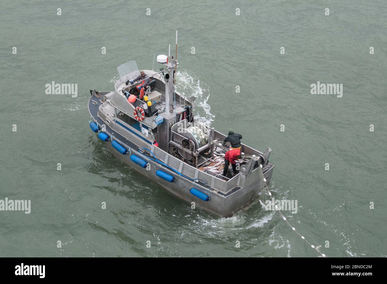 Fishing boat fishing for Sockeye salmon (Oncorhynchus nerka) using drift gill nets. Naknek River