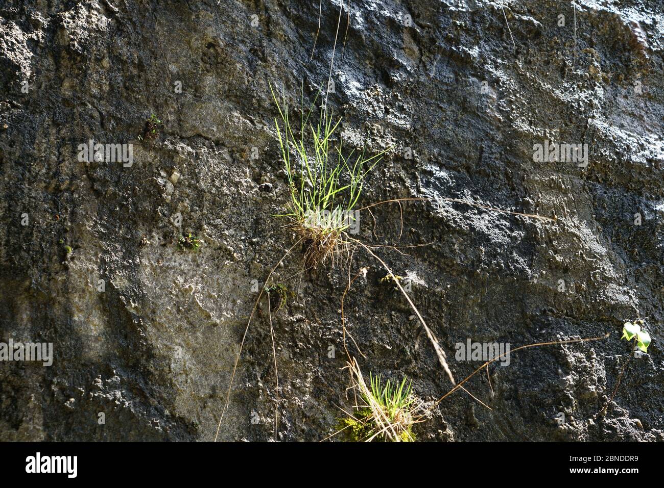 Artfully built walls with natural stone Stock Photo