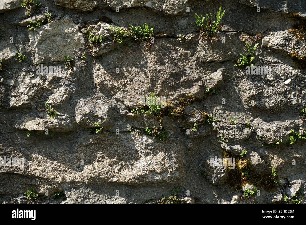 Artfully built walls with natural stone Stock Photo