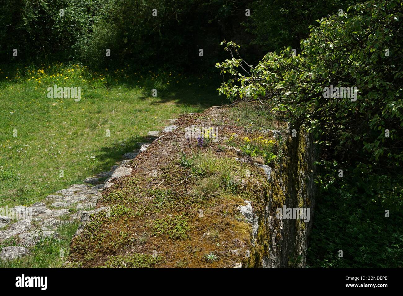 Artfully built walls with natural stone Stock Photo