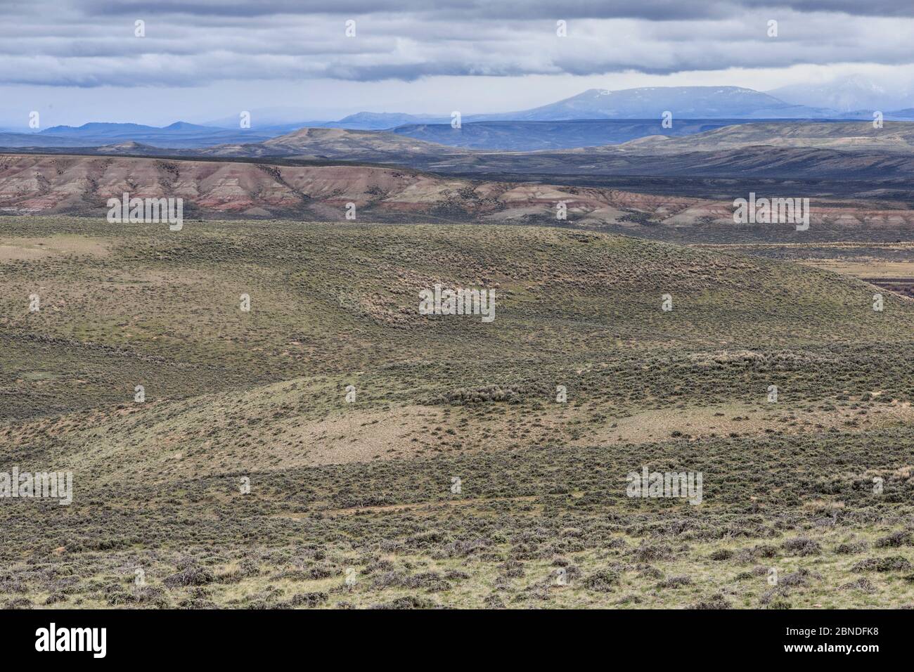 Sagebrush-steppe landscape north of Big Piney. Sublette County, Wyoming, USA, June. Stock Photo