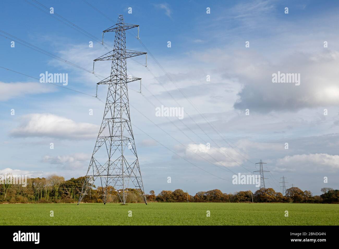 Electricity pylons on farmland near Willaston, Wirral, Cheshire, England, UK, November 2014