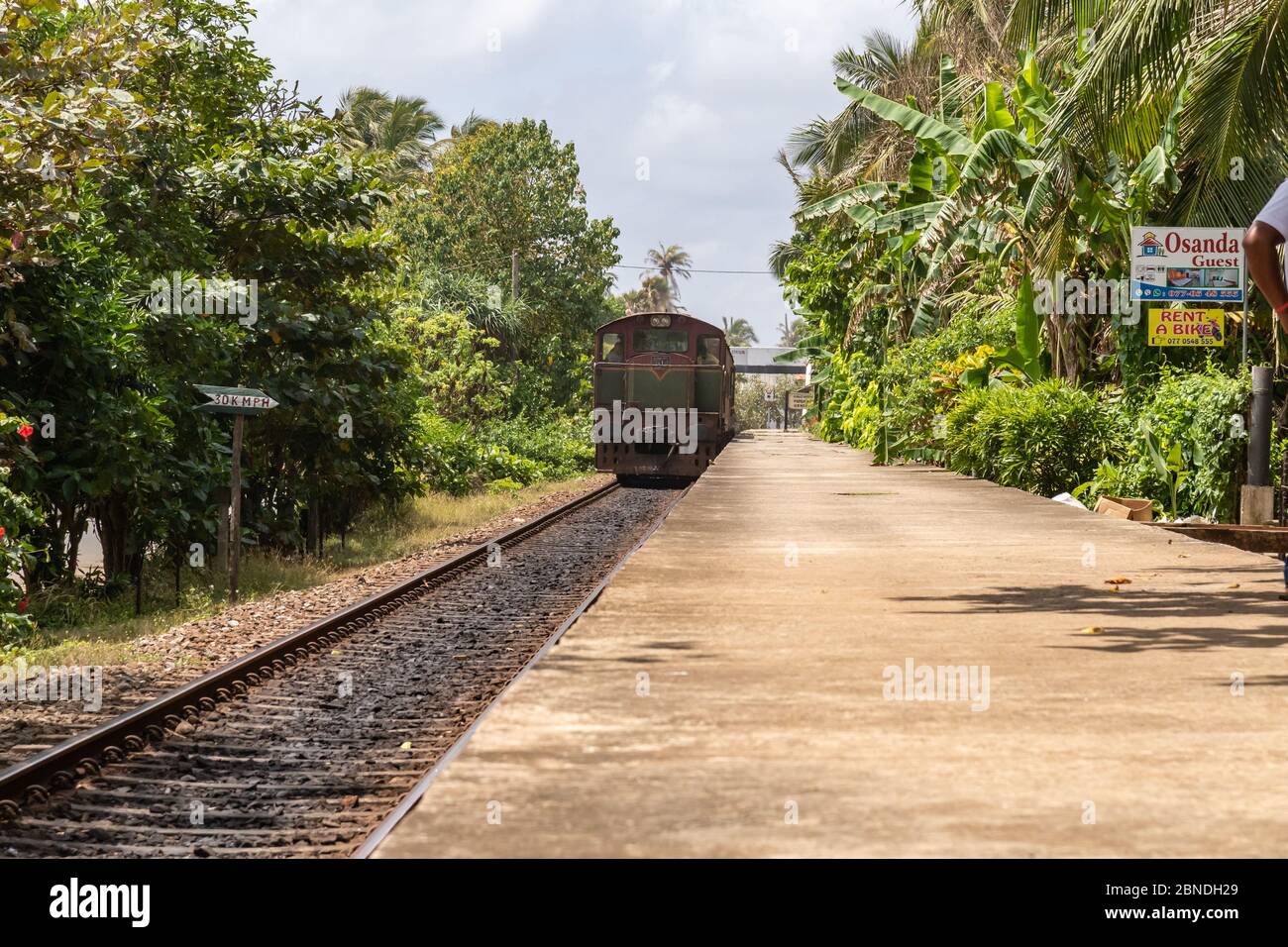 Train leaving a station viewed down the platform with lush green tropical trees on either side in a rail transport concept Stock Photo