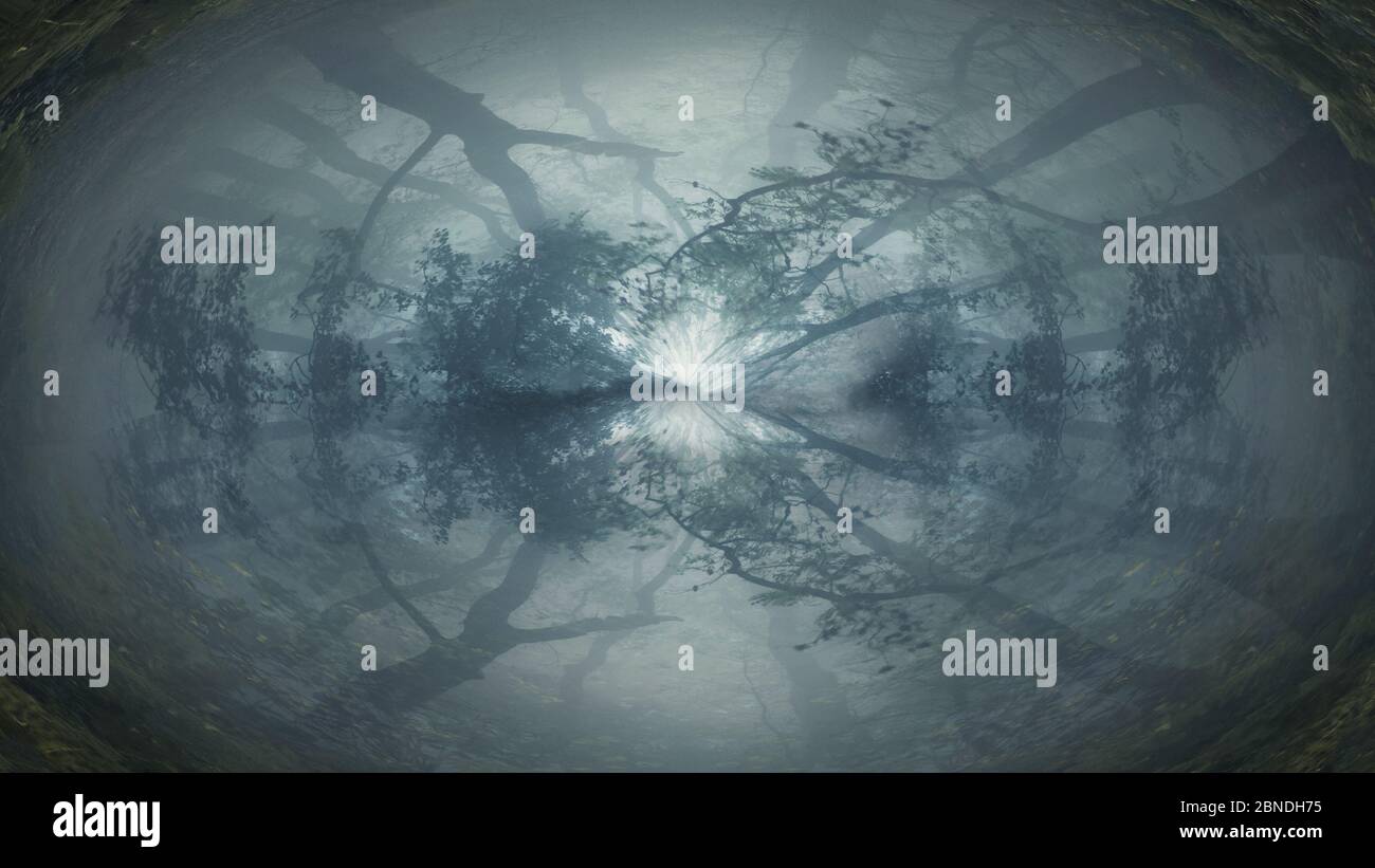 A spooky nightmare forest. On a foggy, winters day. With an abstract dream like tunnel edit. Stock Photo