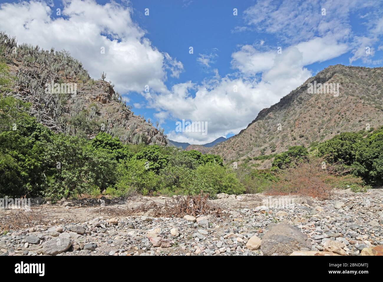 view along dried section of riverbed  Maranon River, Balsas, Peru                 March Stock Photo