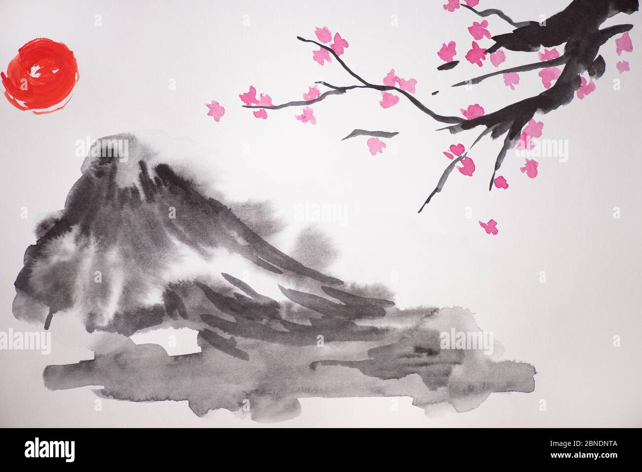 Japanese painting with Sakura branches with flowers on white background  Stock Photo - Alamy