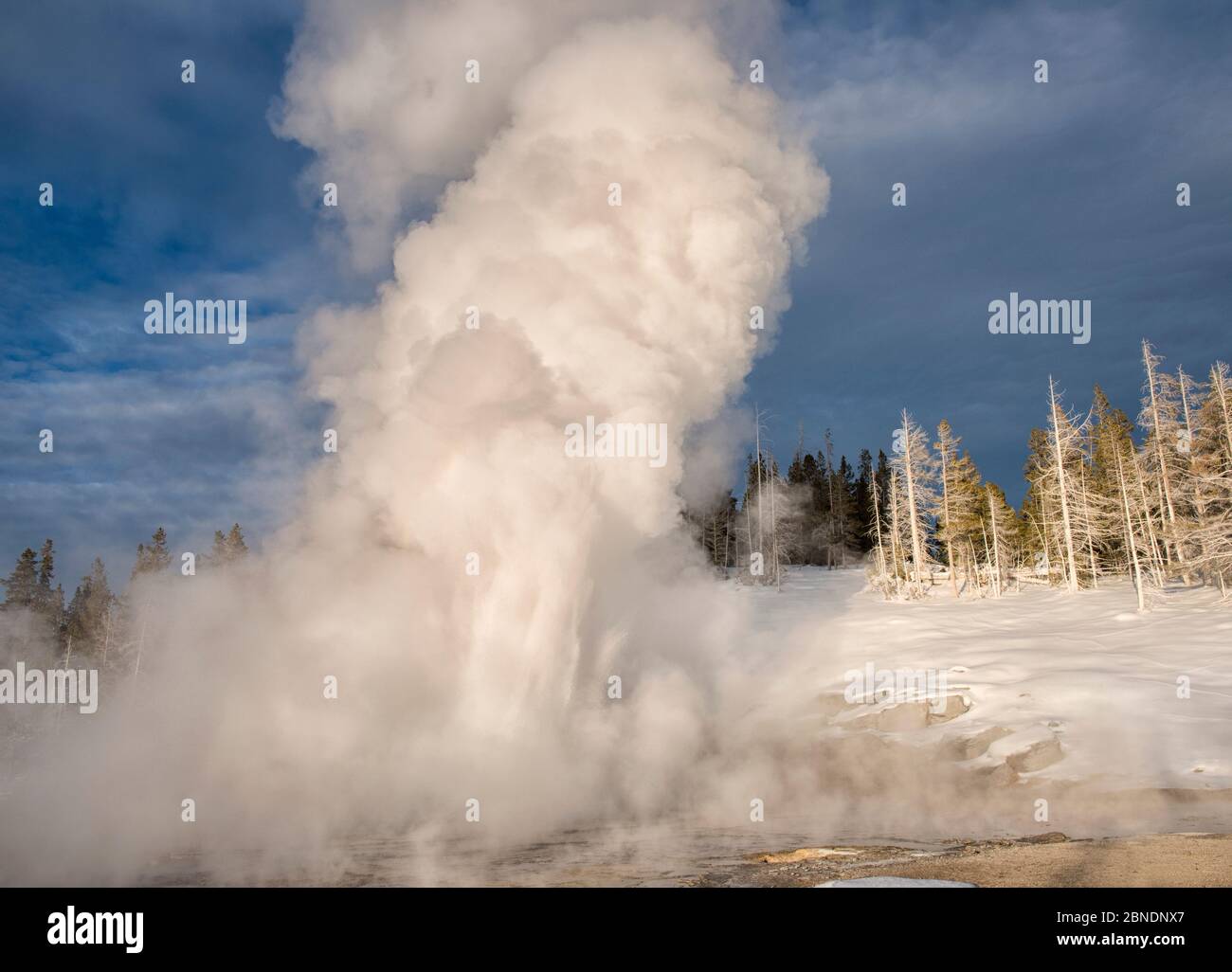 Eruption grand geyser hires stock photography and images Alamy
