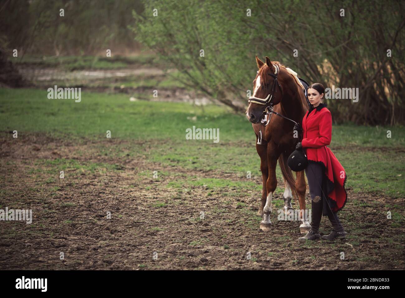 Young woman jockey is riding brown horse, Equestrian sport Stock Photo Alamy