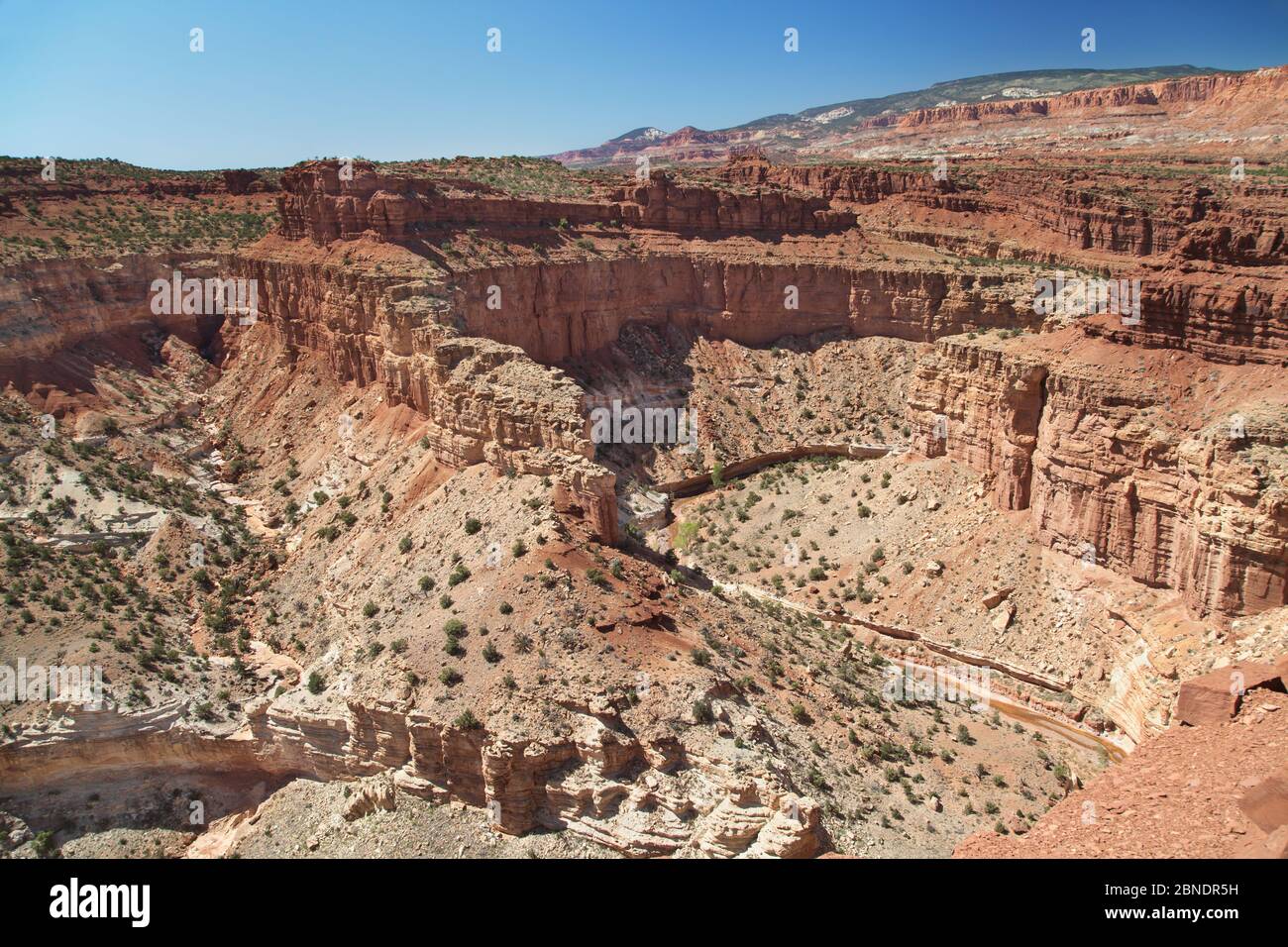 Goosenecks overlook 2025 capitol reef