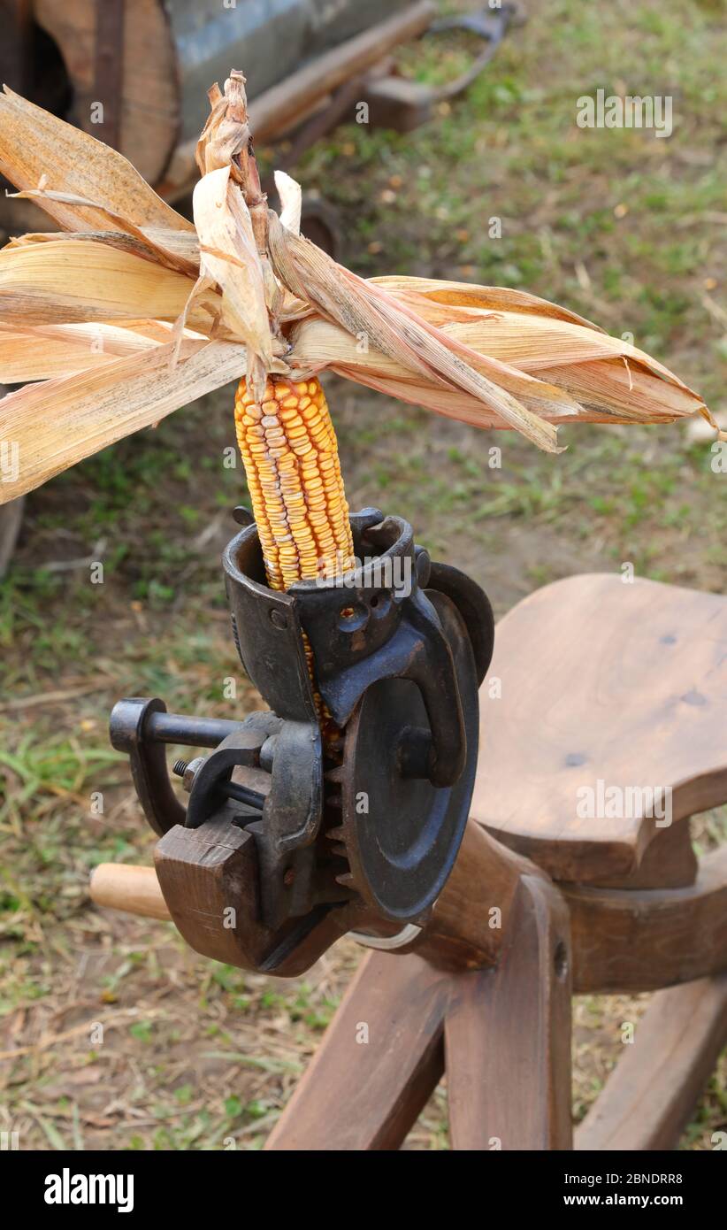 Shelling Corn High Resolution Stock Photography And Images Alamy Shelling Corn High Resolution Stock Photography And Images Alamy