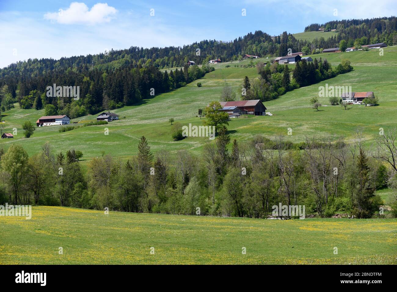 wunderschöne Landschaft in Riefensberg, Vorarlberg Stock Photo