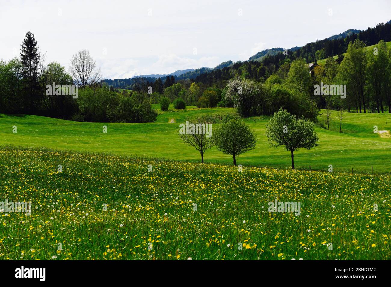 wunderschöne naturbelassene Landschaft in Riefensberg, Vorarlberg Stock Photo