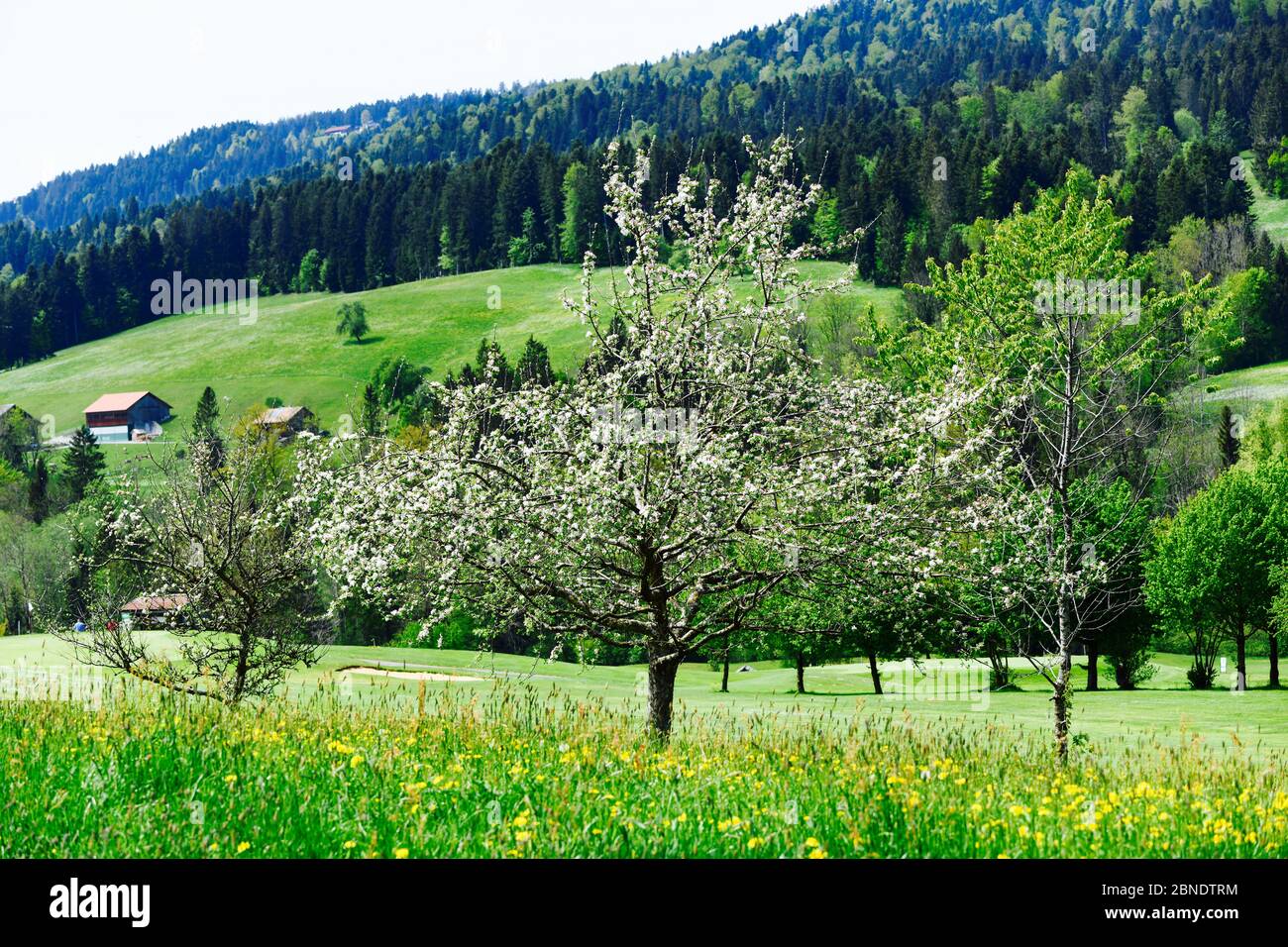 wunderschöne Landschaft in Riefensberg, Vorarlberg Stock Photo