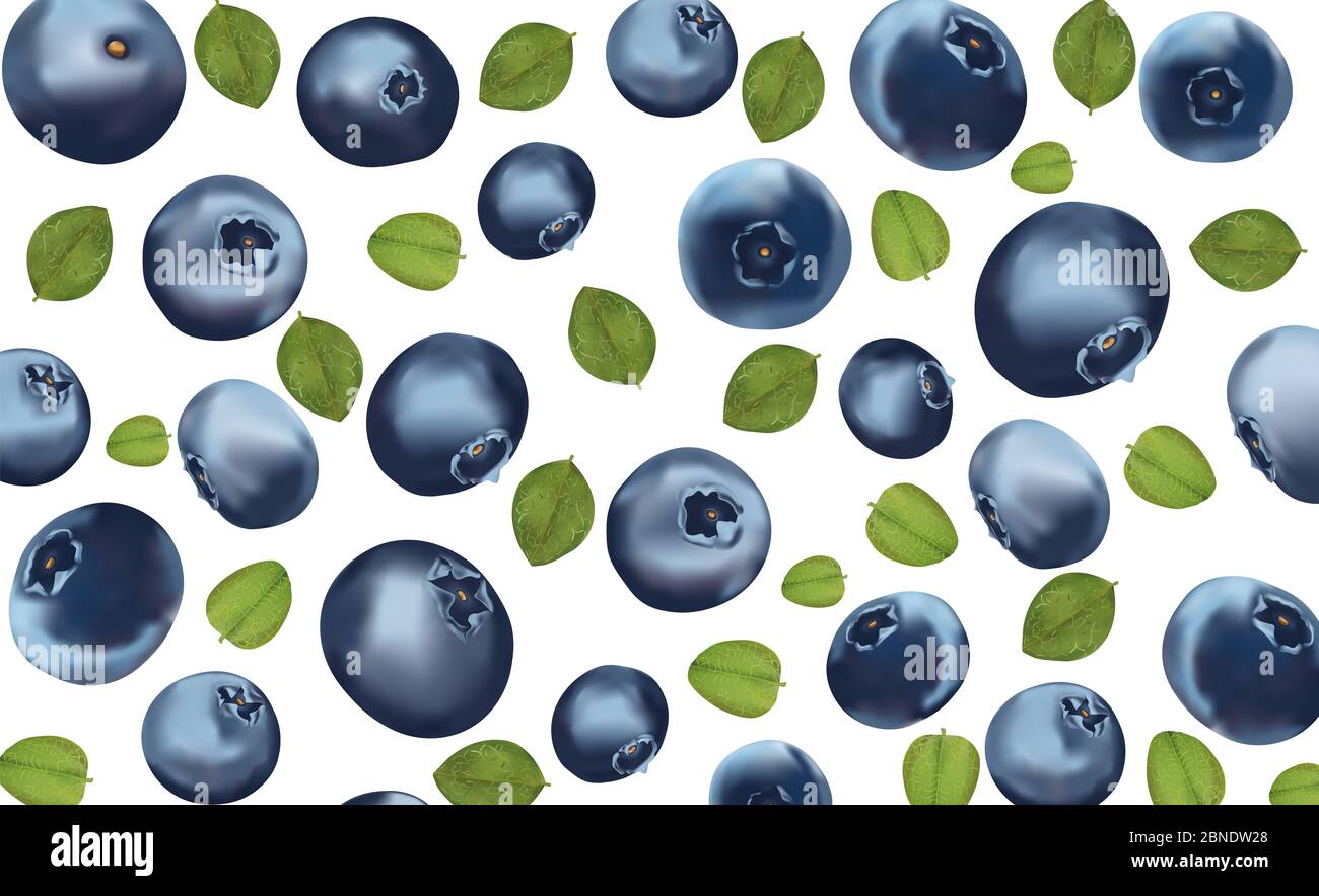 Background blueberry. Freshly picked blueberry with green leaf. Organic ...