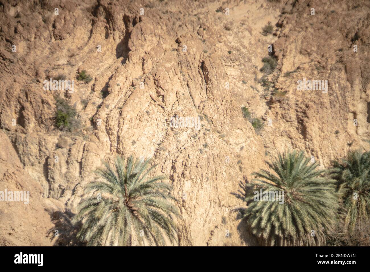 welcome to the tunisian desert Stock Photo - Alamy