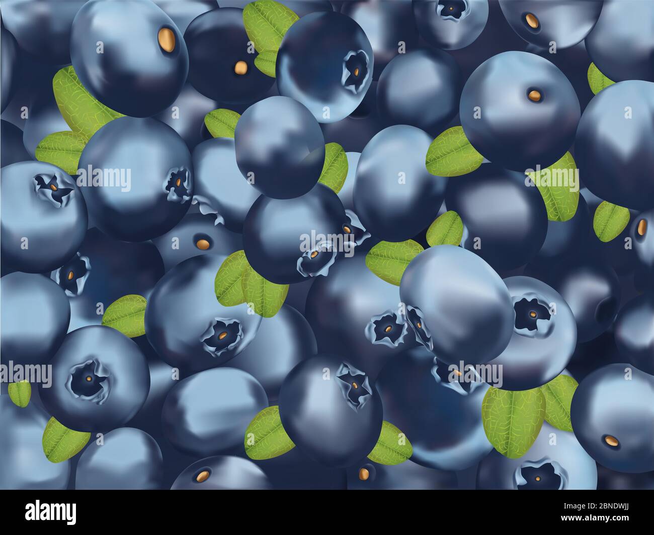 Background blueberry. Freshly picked blueberry with green leaf. Organic ...