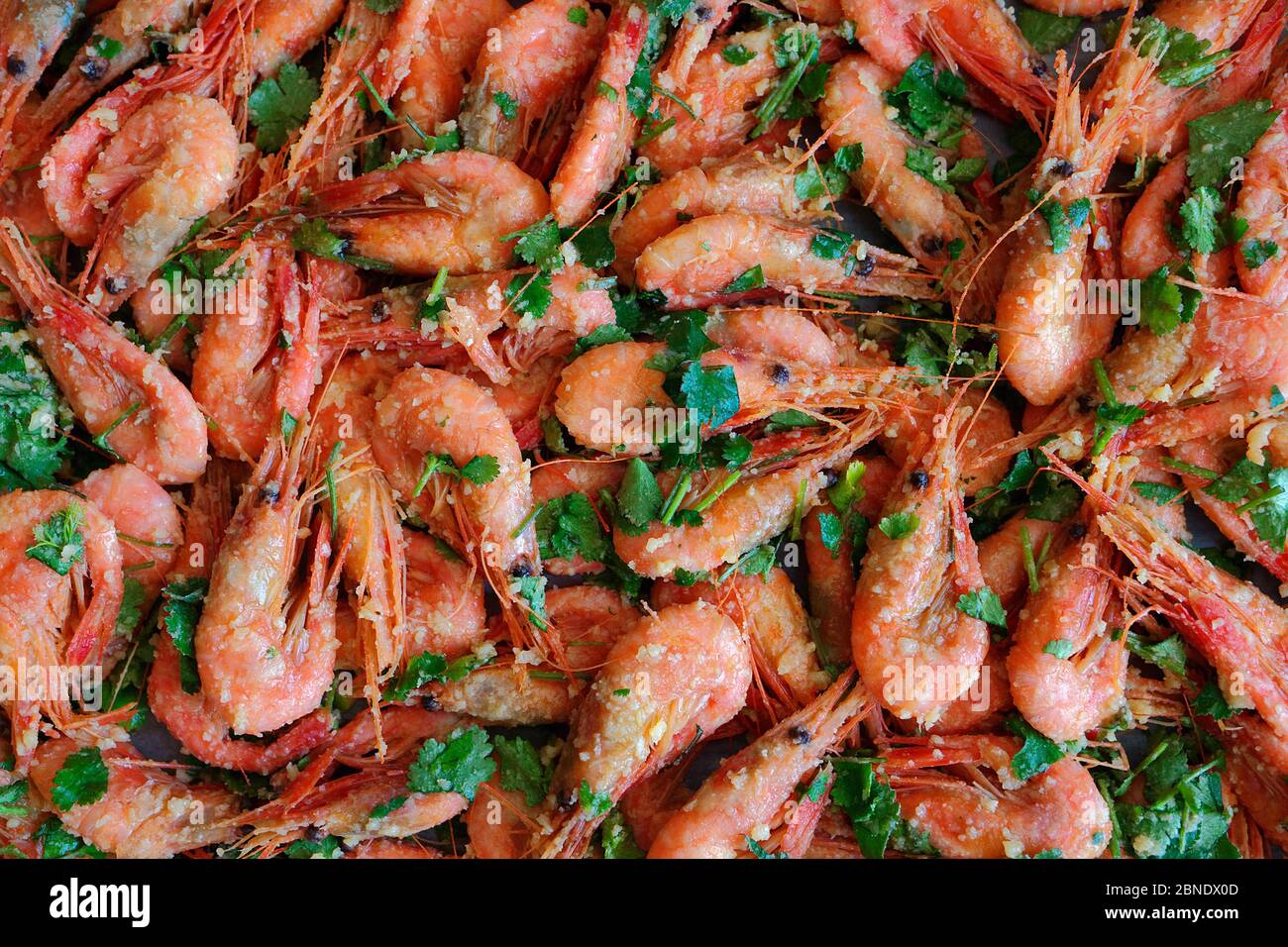 Fresh boiled prawns with coriander. A delicious dish of seafood Stock
