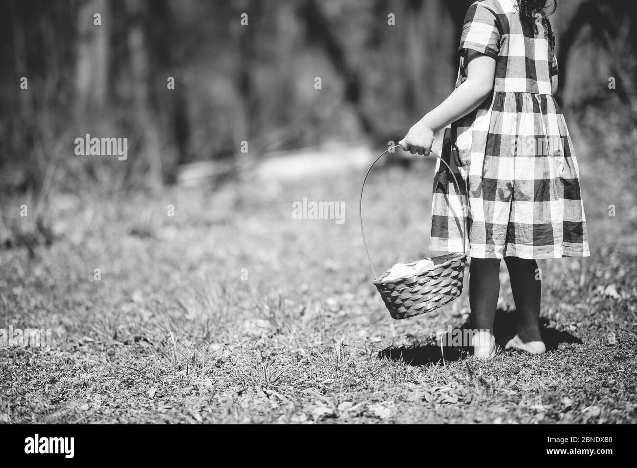 Greyscale shot of the girl with a  basket of colorful Easter eggs on the green grass in a field Stock Photo