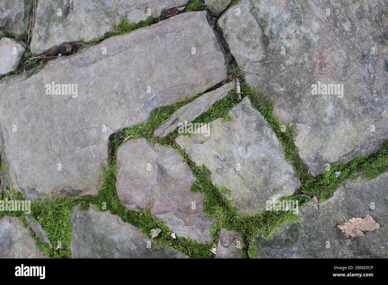 A walkway made from irregularly shaped Granite pavers with moss growing