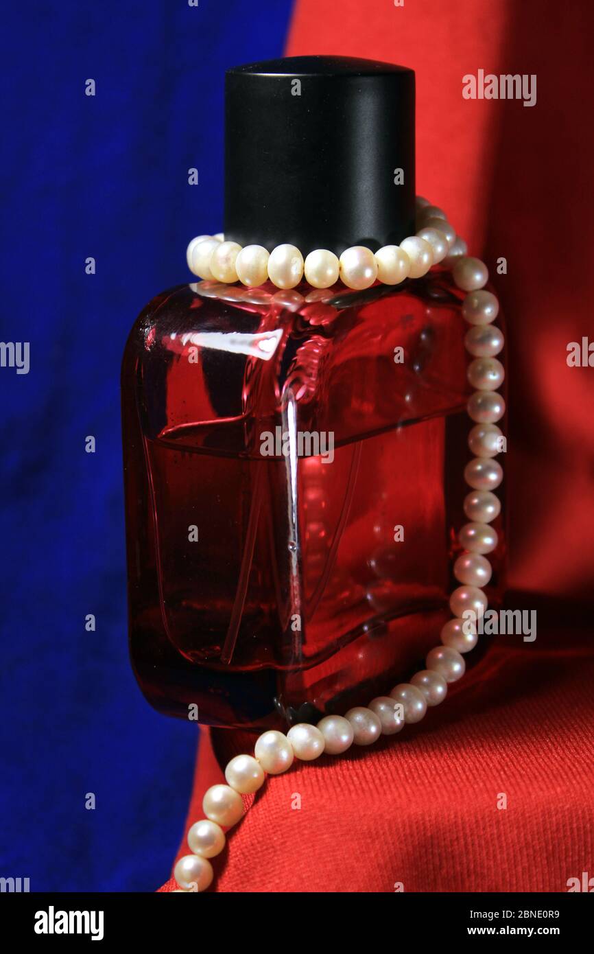 Chanel bag isolated hi res stock photography and images Alamy