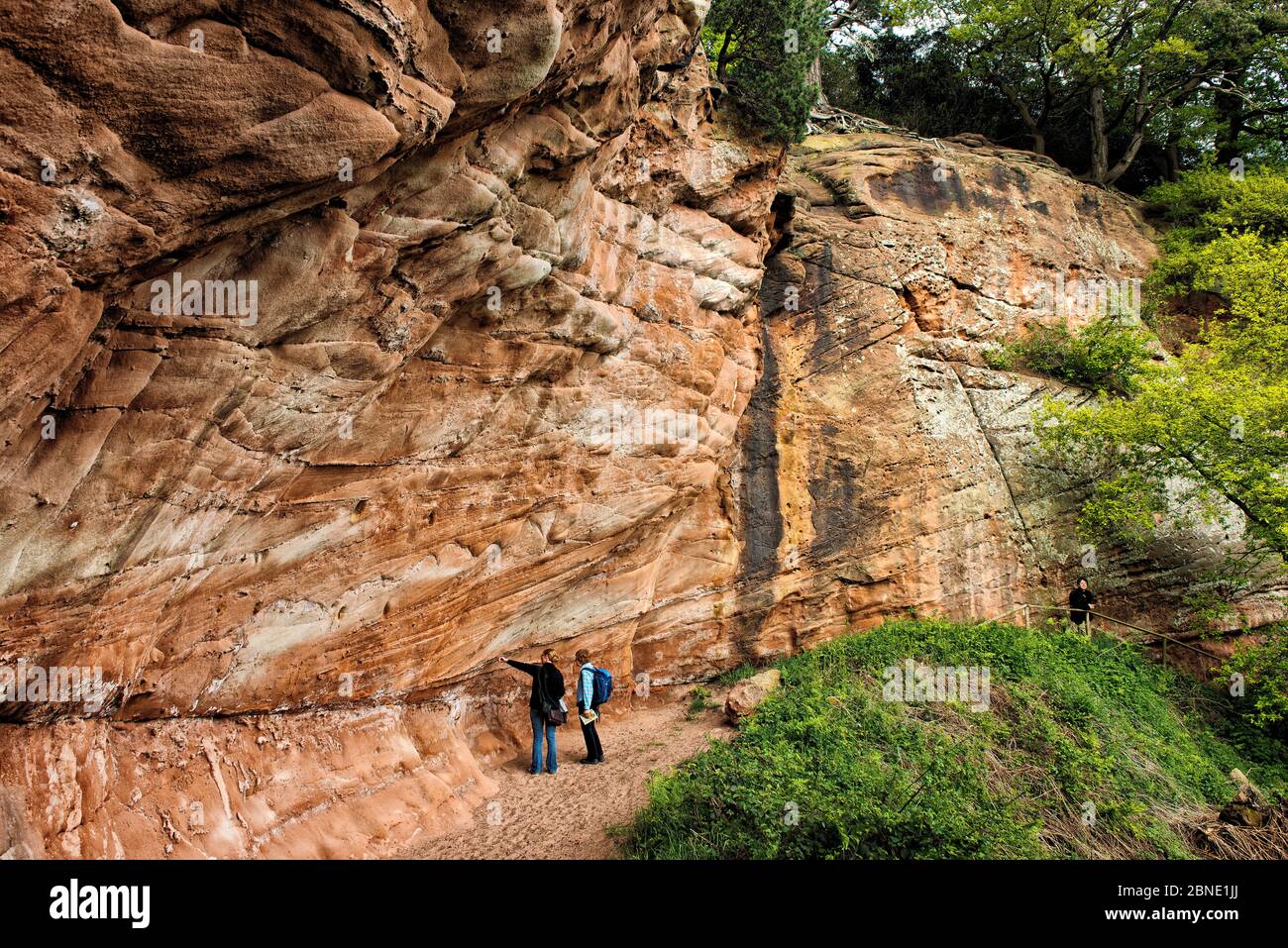 People looking at triassic New Red Sandstone cliffs of the Wilmslow Group, circa 250 million years old, Hawkstone Ridge, Hawkstone Follies, Shropshire Stock Photo