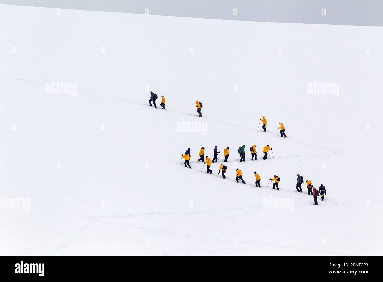 A group of ecotourists from an expedition ship climb a snow-field in the Antarctic, Cuverville Island, Antarctic Peninsula, Antarctica, January 2012. Stock Photo