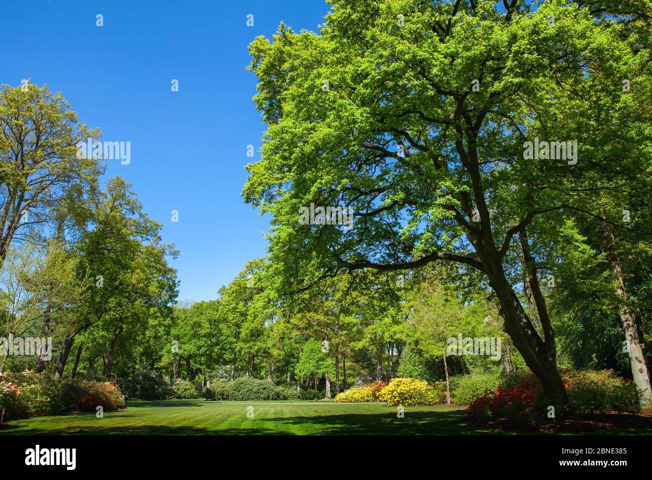 Lush green lawn park hi-res stock photography and images - Alamy