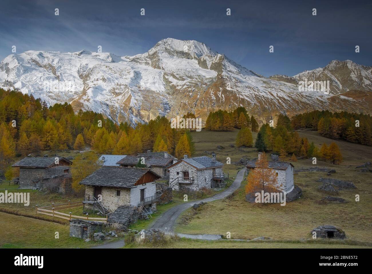 View of Le Mont Pourri, with farm buildings and European larch (Larix decidua) trees in the foreground, Le Monal Vanoise National Park, Savoie, France Stock Photo
