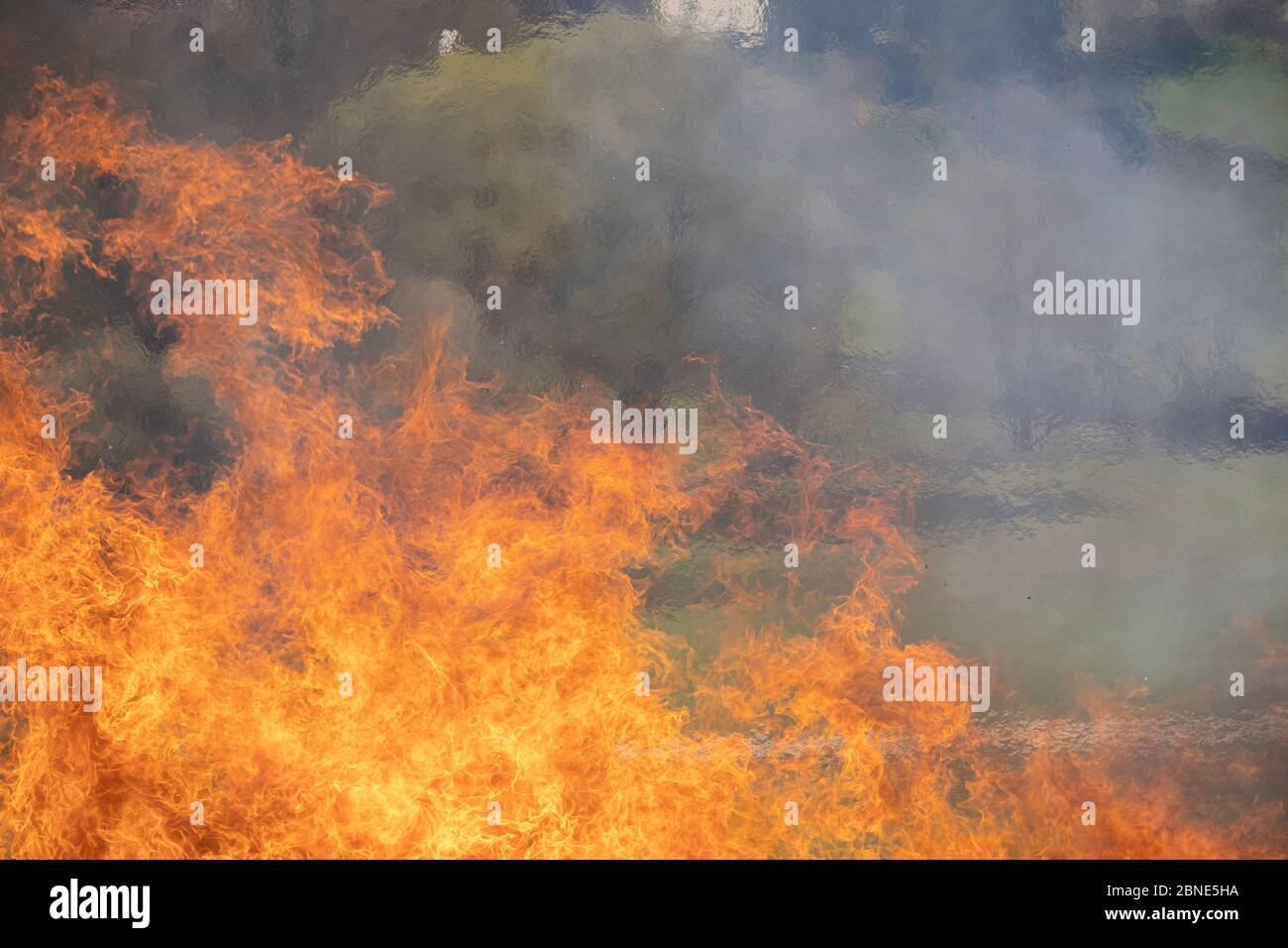 demolished wooden hut set on fire after demolition Stock Photo