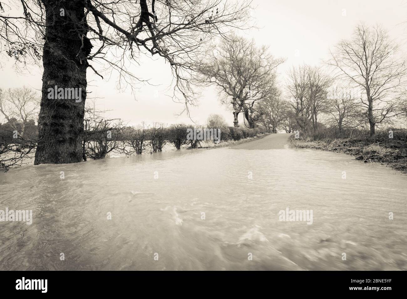 Black and white photo of flooding on the River South Esk, Angus, Scotland, UK, 23rd December 2012 Stock Photo
