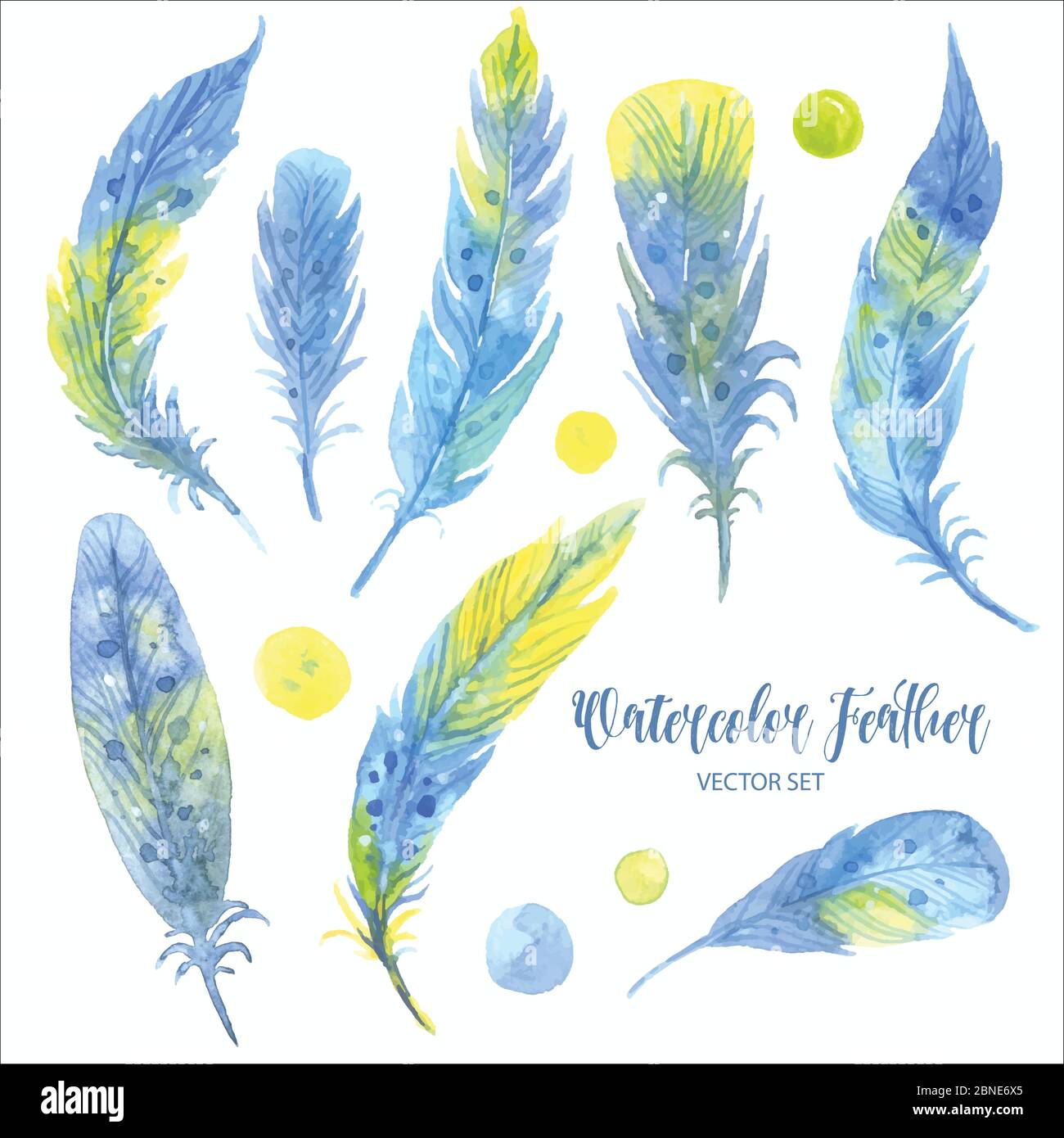 Watercolor blue feather set. Hand drawn vector illustration Stock ...