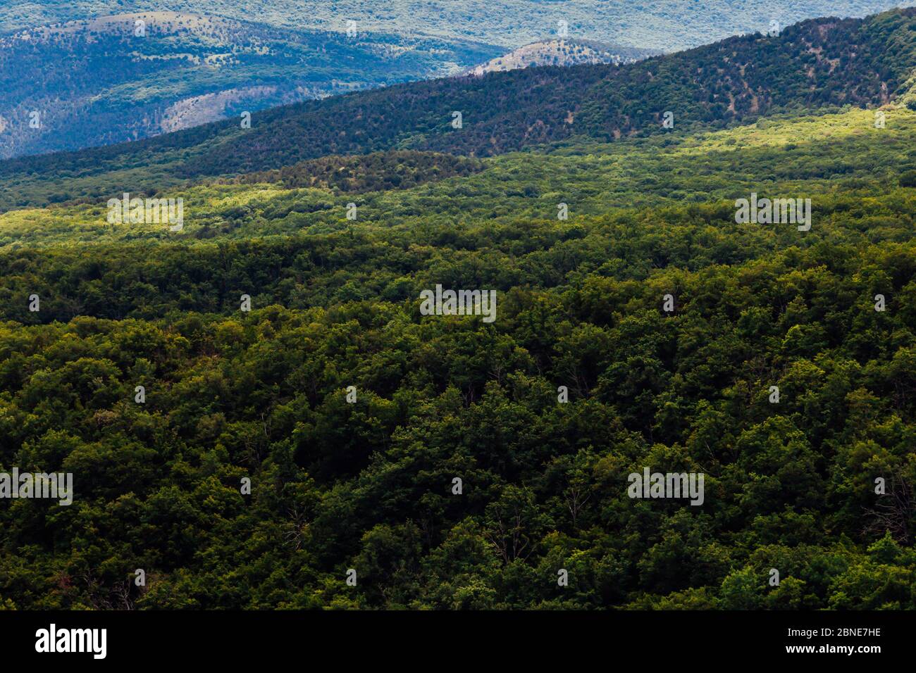 beautiful landscape green forest mountains blue sky Stock Photo - Alamy