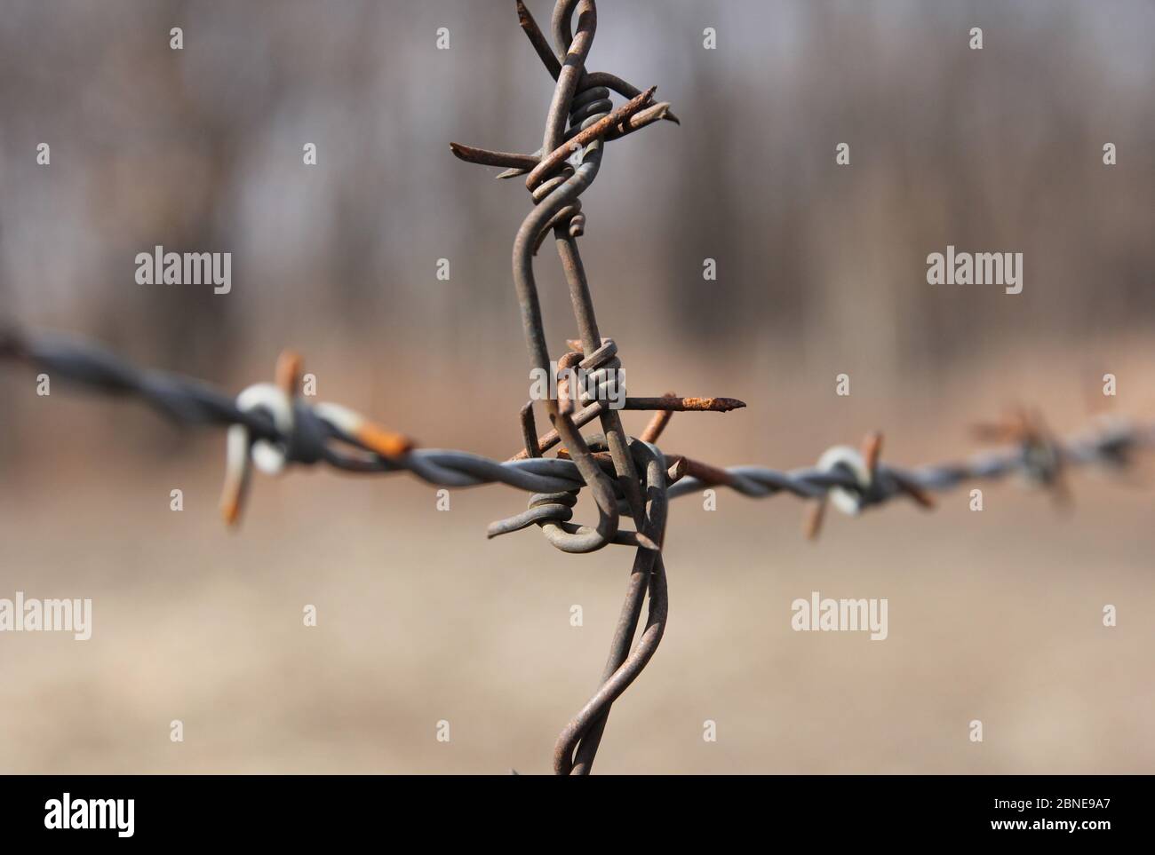 Rusty steel barbed wire on blurred background Stock Photo - Alamy