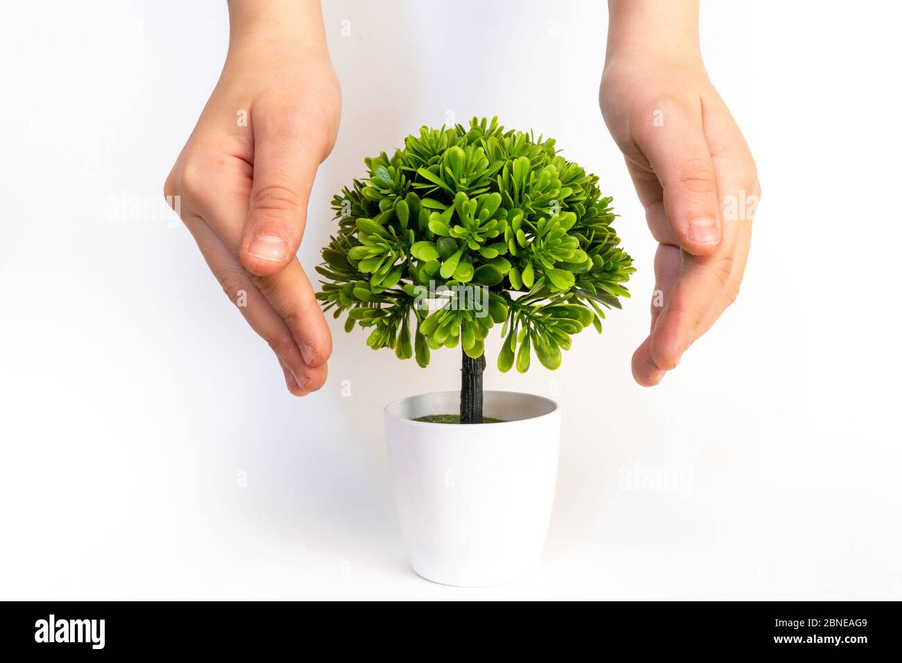 Save the planet. Small plant cupped in child's hands. Ecology concept Stock Photo