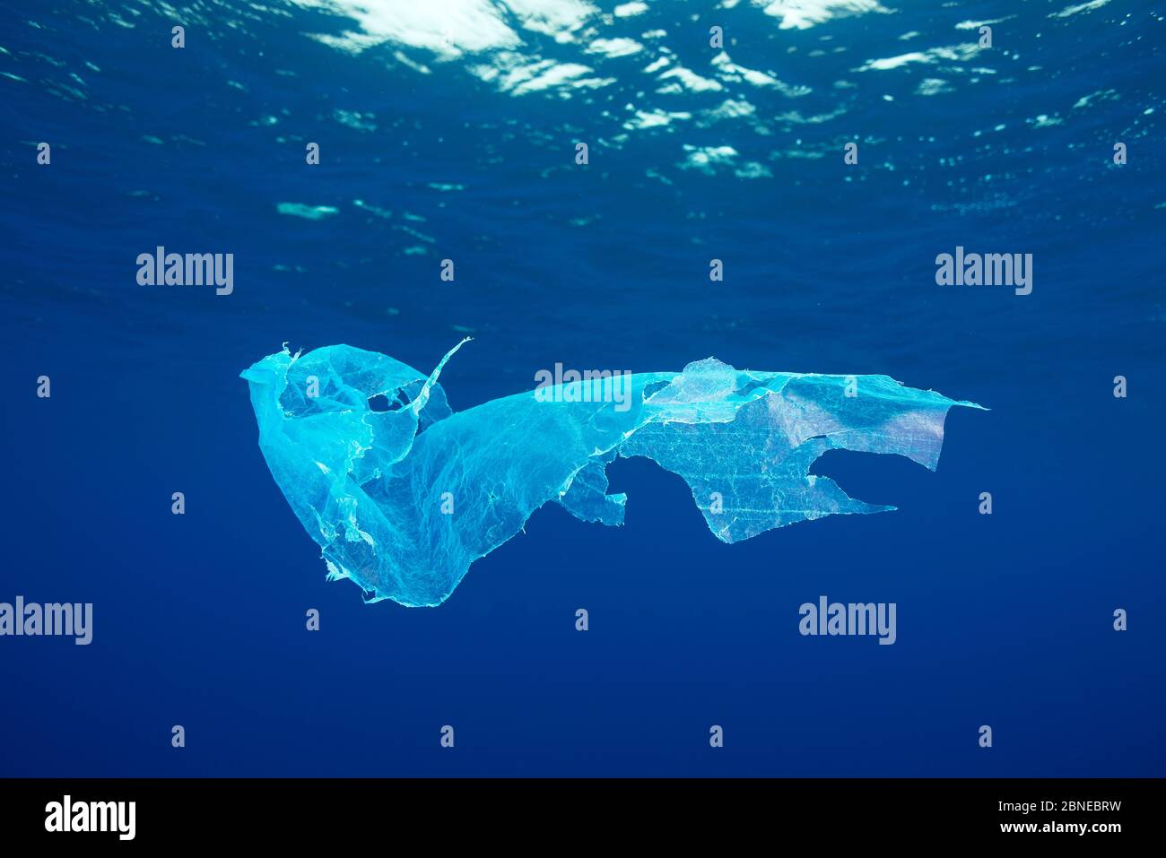 Plastic floating in the Atlantic ocean, Azores, Portugal Stock Photo