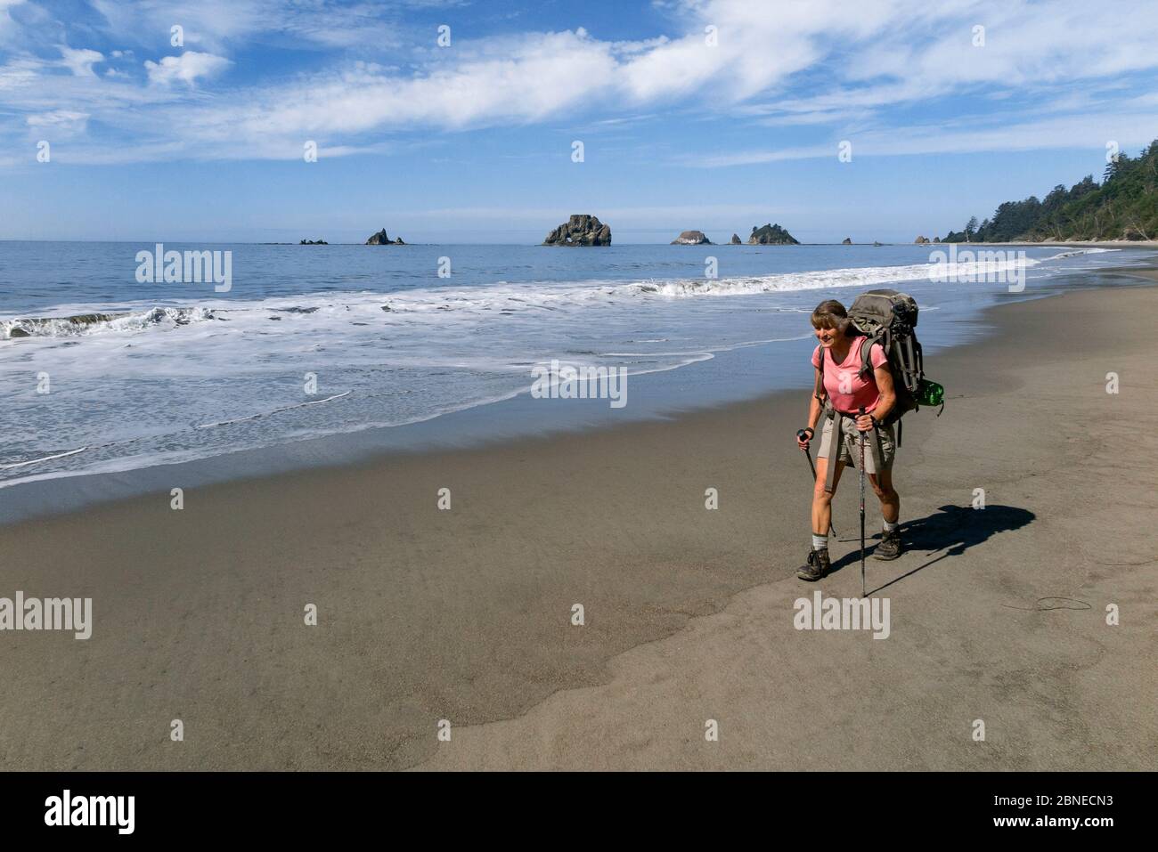 Vicky Spring hiking, Pacific Coast, Olympic National Park south of Toleak Point, Washington, USA. August, 2015. Model released Stock Photo