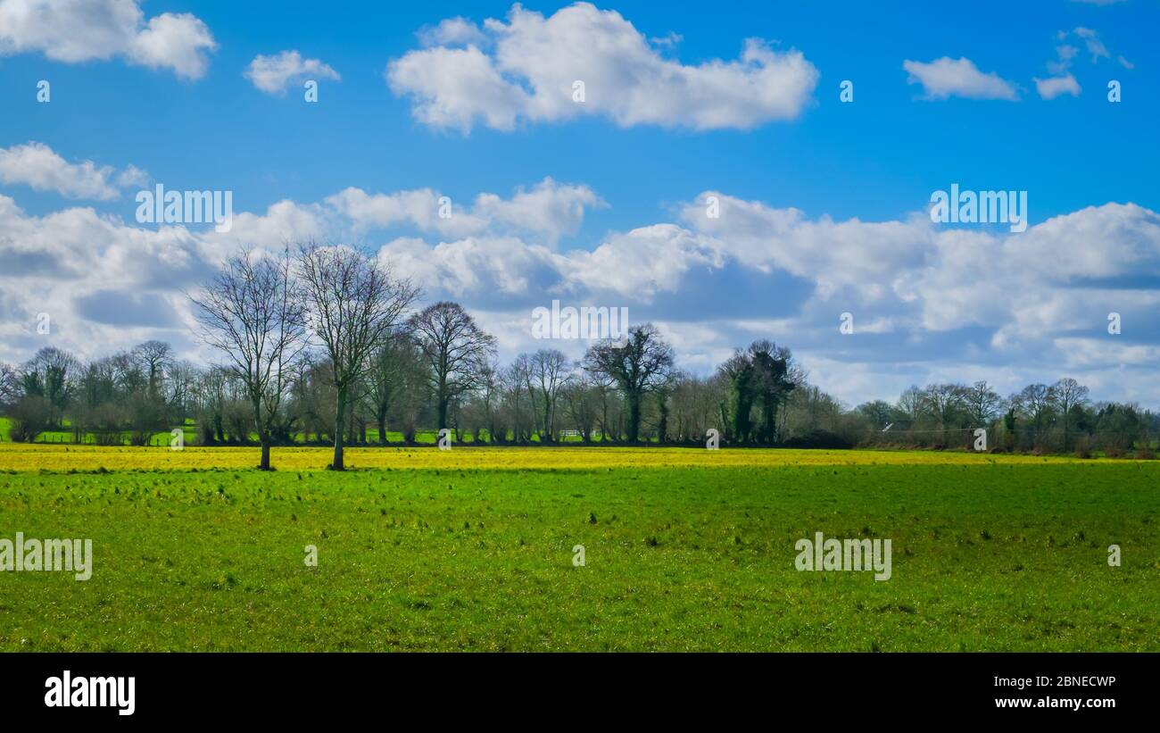 Field in Couesmes-Vauce in the Mayenne countryside on a winter day, France Stock Photo