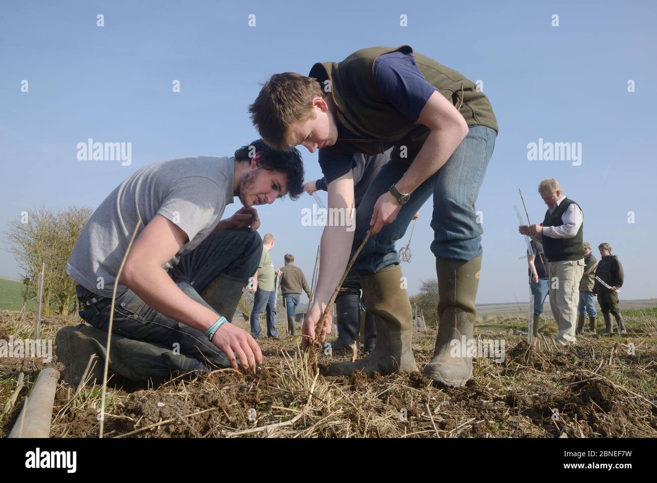 Student planting tree uk hi-res stock photography and images - Alamy