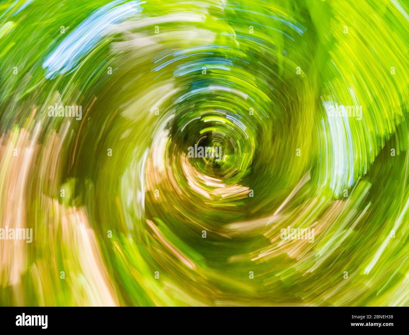 Green forest creating vertigo intentionally blurry representing maximum utmost circular speed speedy fast movement Stock Photo